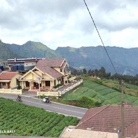 Tengger Indah Bromo By Abm Экстерьер фото